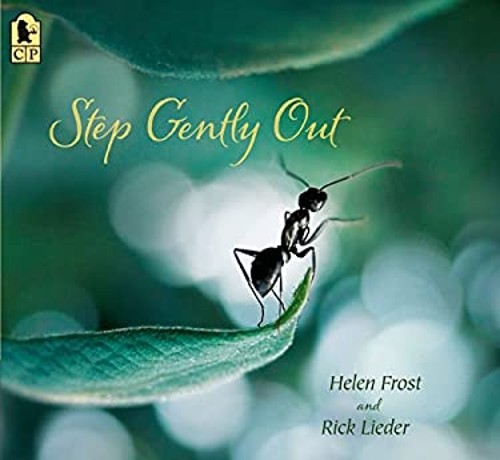 Step Gently Out Picture Book Helen FrostFree US Delivery | ISBN:0763695173