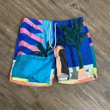 Scotch & Soda  Amsterdam Lines Swim Trunks Placement Print 6" Inseam Large L