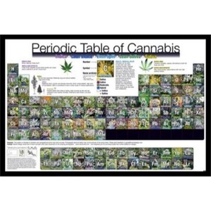 Details About Framed Periodic Table Of Cannabis Weed Marijuana Table 36x24 Poster
