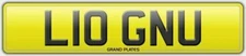L10 GNU LOGAN U CHERISHED REGISTRATION NUMBER PLATE CAR REG ASSIGNED FREE LOGANS