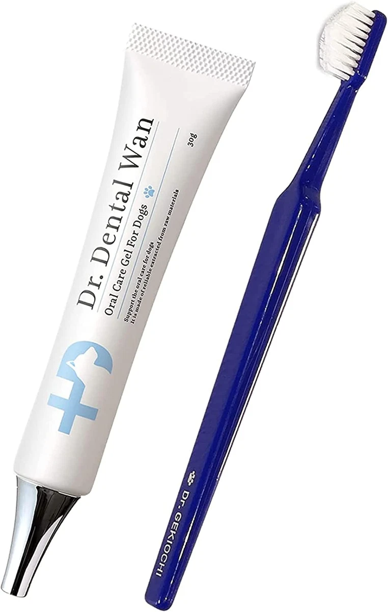 Dr dog toothbrush sale