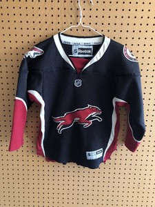 arizona coyotes 3rd jersey