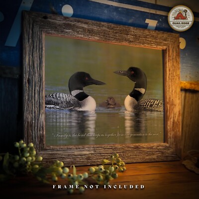 Common Loon Art Print Inspirational Poster Fishing Cabin Lake House Wall Decor