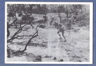 1964 DONRUSS COMBAT SERIES II TV SHOW B&W SELMAR: #99 FALL BACK!