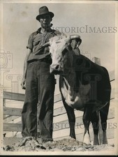 1939 Press Photo Hereford Bull Calf w/ Herdsman