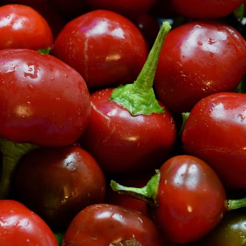 Heirloom 1.99 Vegetable Garden Seeds 250 Varieties Part 2 Combined Shipping .99 - Picture 24 of 158