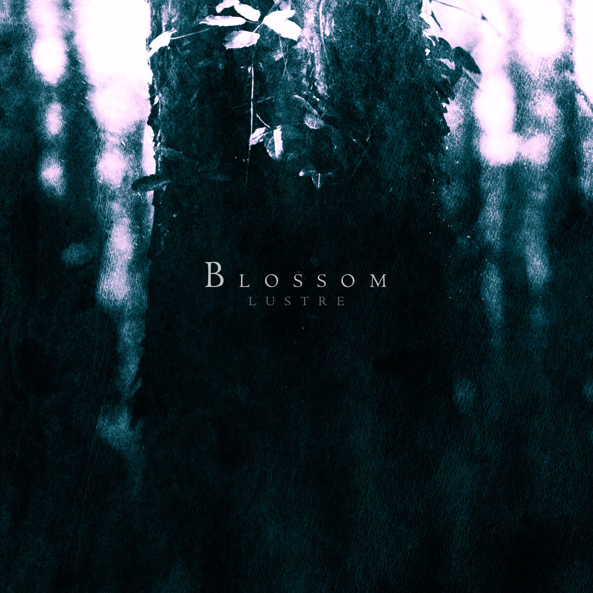 Lustre Blossom (CD) Album