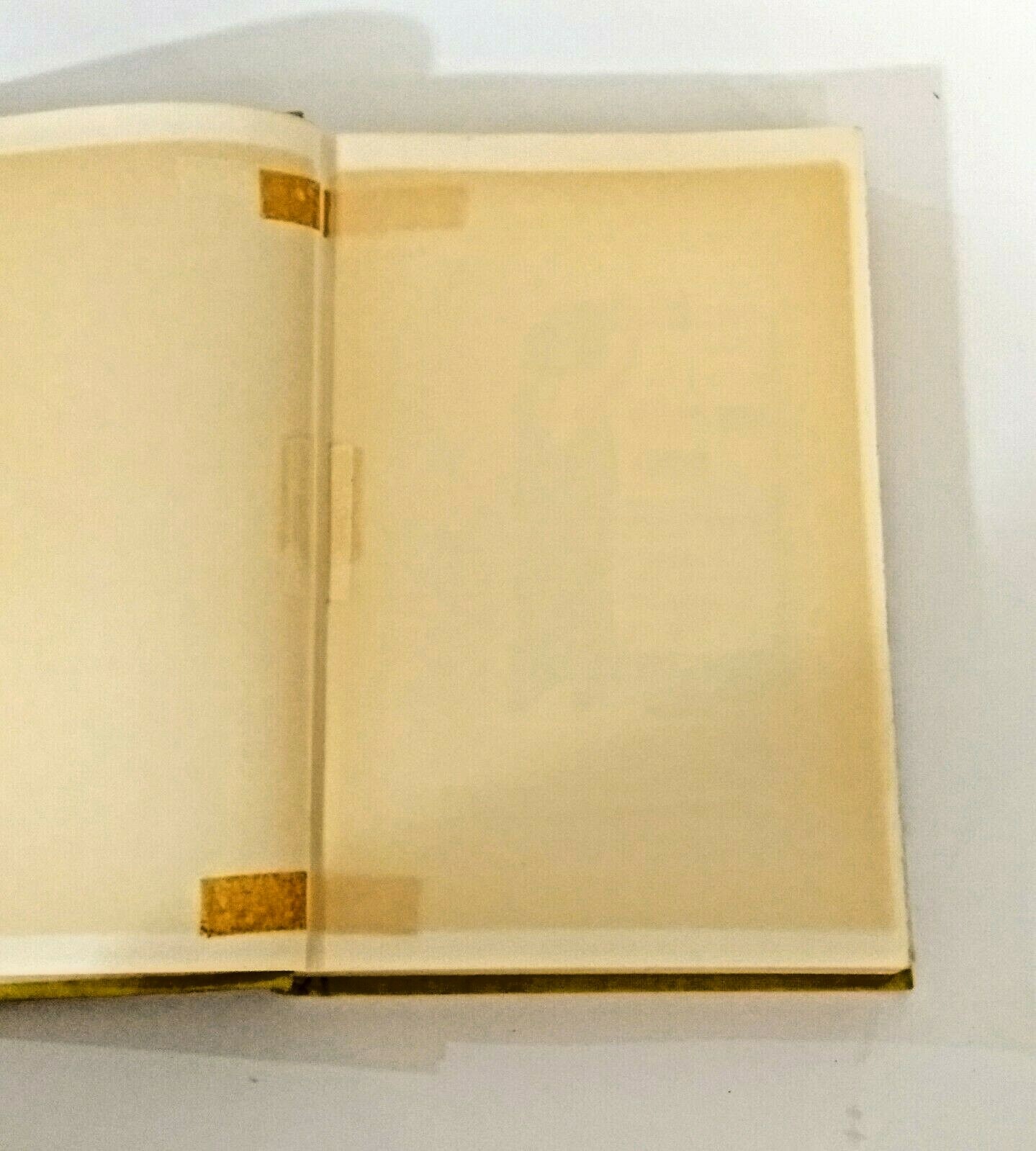 Picture 5 of 7