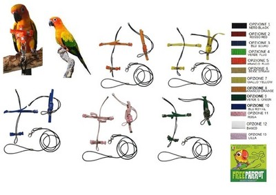 Elastic Harness Detachable Plastic Buckles Parrots Sun Conure