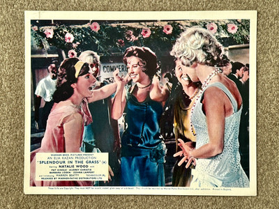 SPLENDOUR IN THE GRASS Original 61 Film Film Foto NATALIE WOOD BARBARA LODEN