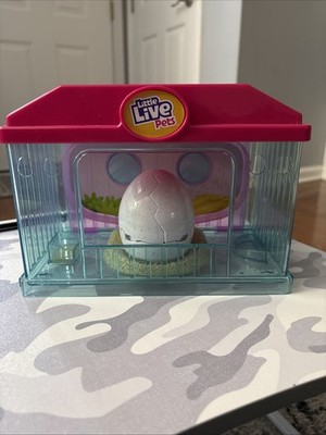 Little Live Pets Surprise Chick Hatching House With Egg And Baby Chick-works