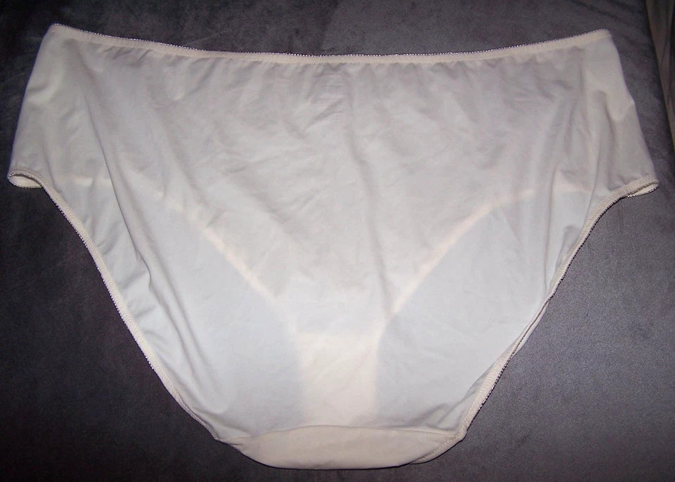 Amoureuse Cream Panties, Sheer, Full Front Beige Embroidery - Size 15 - Image 2 of 2