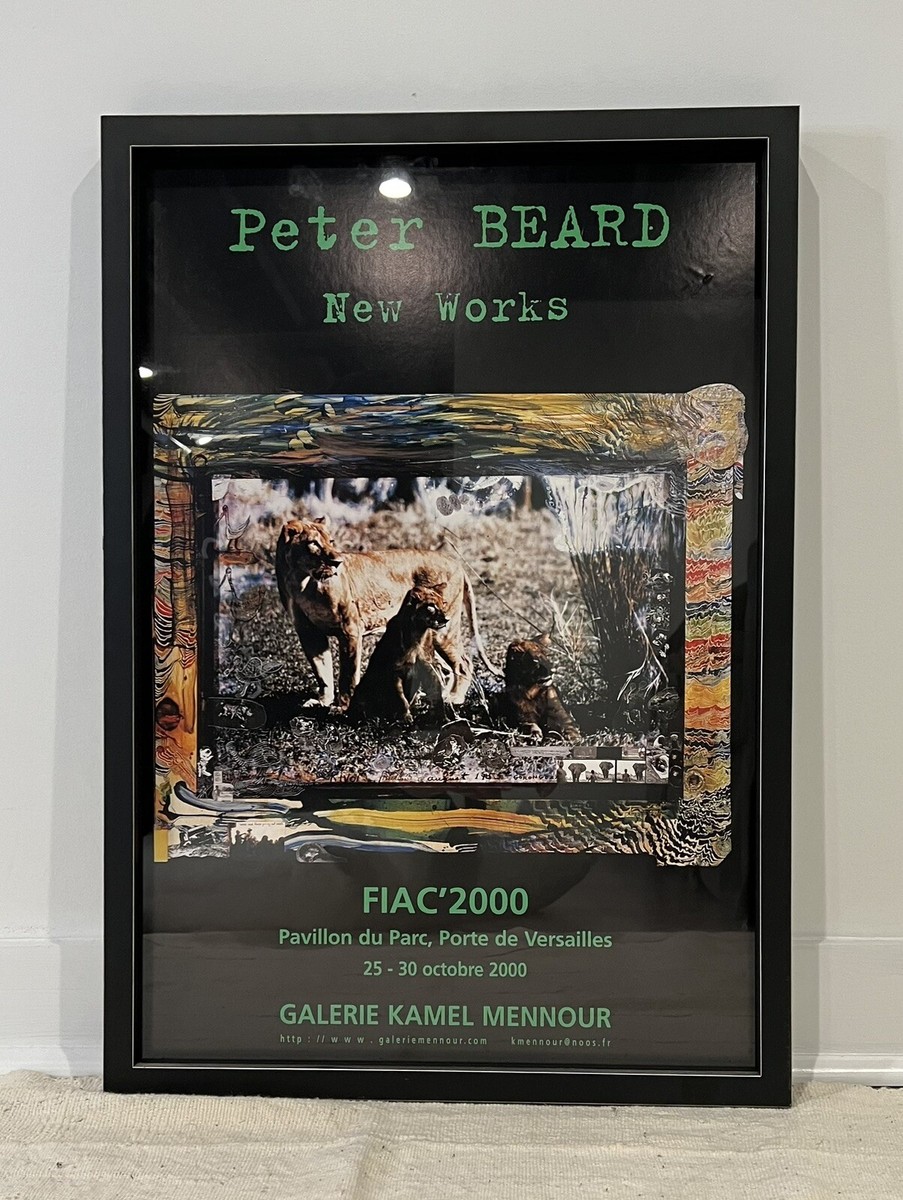 Peter Beard Framed Exhibition Poster Paris France | eBay