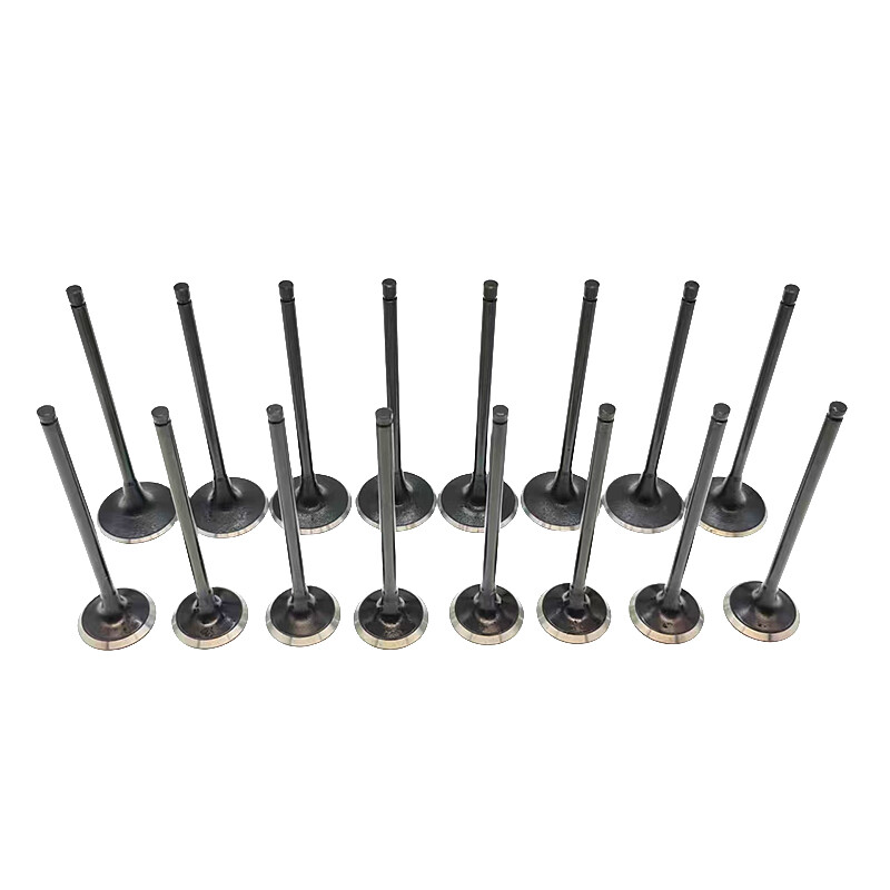 For 08-16 Hyundai Sonata Kia Optima 2.0 2.4L New Engine Intake Exhaust Valve Set