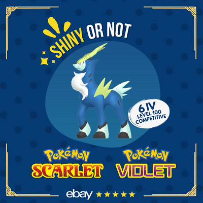 Cobalion Shiny or Non   6 IV Competitive Customizable Pokémon Scarlet Violet