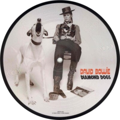 DAVID BOWIE RARE Diamond Dogs (50th Anniversary) Picture Disc [Vinyl LP]