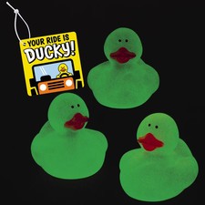 Fun Express Your Ride is Ducky Glow-in-the-Dark Rubber Ducks Kit Assortment May