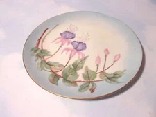 Beautiful Unmarked Hand Painted Floral Design Salad Plate Porcelain German?