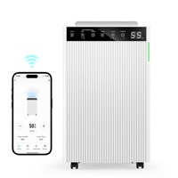 20L/Day Compressor Dehumidifier Energy Efficient Automatic Humidity Sensor Hormk