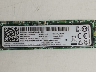 Lenovo LENSE20256GMSP34MEAT2TA 256 GB NVMe 80mm Solid State Drive