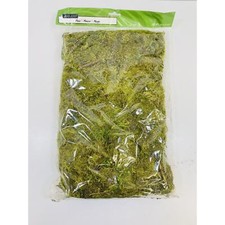 Ashland Moss 200 Cubic Inches 25322 New