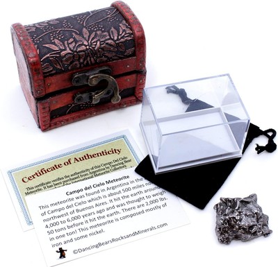 DANCING BEAR Real Meteorite Extra Large (35-55g) Genuine Form Campo 35-55g 