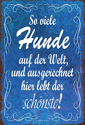 Top-Schild, versch. Größen, So viele Hunde auf der Welt, ich schönsten, Neu, OVP