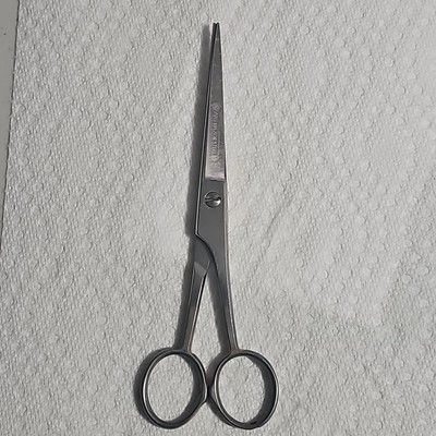Oster 930-27 Razer Steel Stainless, 6'' Scissors
