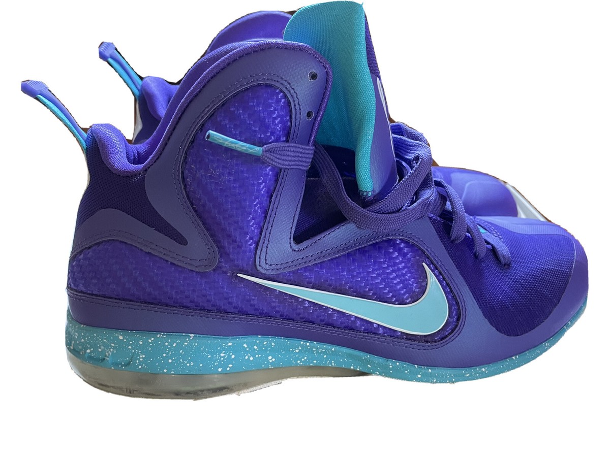 Nike LeBron 9 Summit Lake Hornets 2012 Size 11.5 mens- Nike LeBron 9 Low Summit Lake Hornets 2012  main image 2