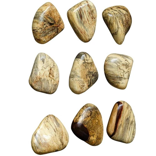 Uttermost Pebbles Contemporary Wood Wall Decor in Natural (Set of 9) - Picture 2 of 6