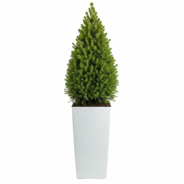 Howhomely Blumentopf Pflanztopf ÜBertopf Weiß Pflanzgefäß H75Xb40 Geriffelt Deko-image