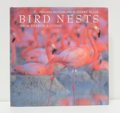 Bird Nests