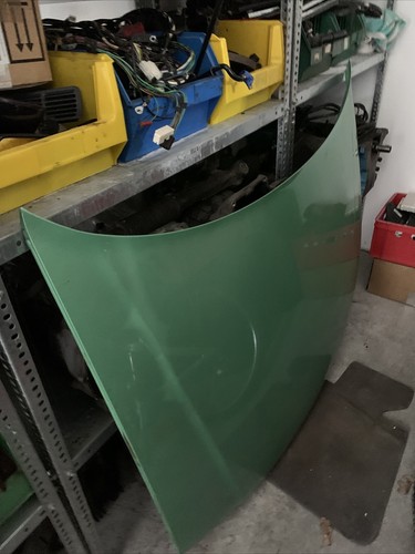 Motorhaube Audi A3 LY6K Paradiesgrün Metallik