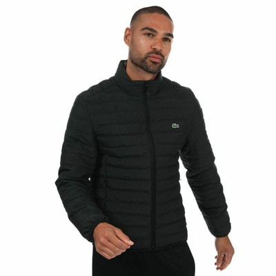 lacoste mens jacket