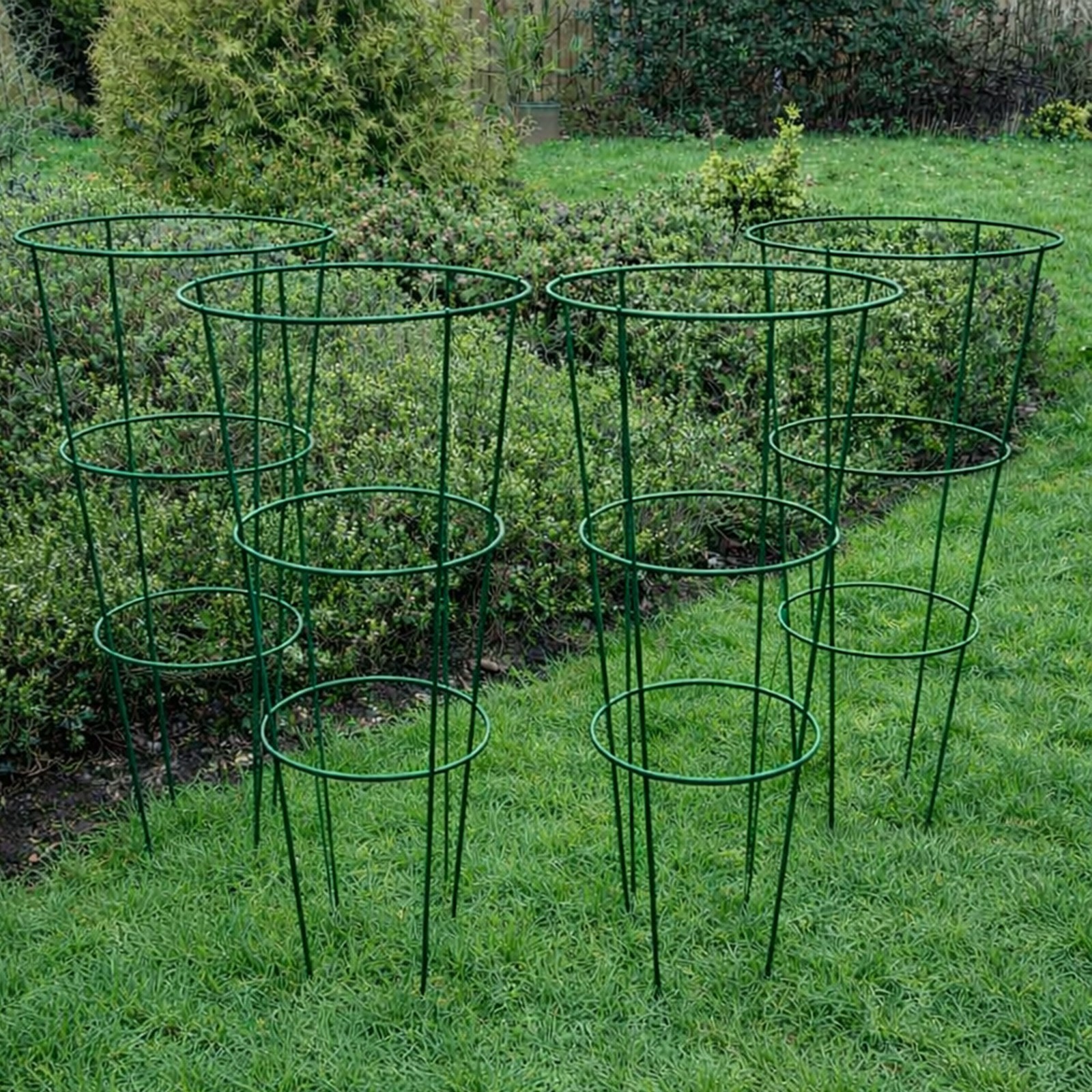 Garden Conical Green Plant Herbaceous  Support Rings Large 75cm high Set of 4
