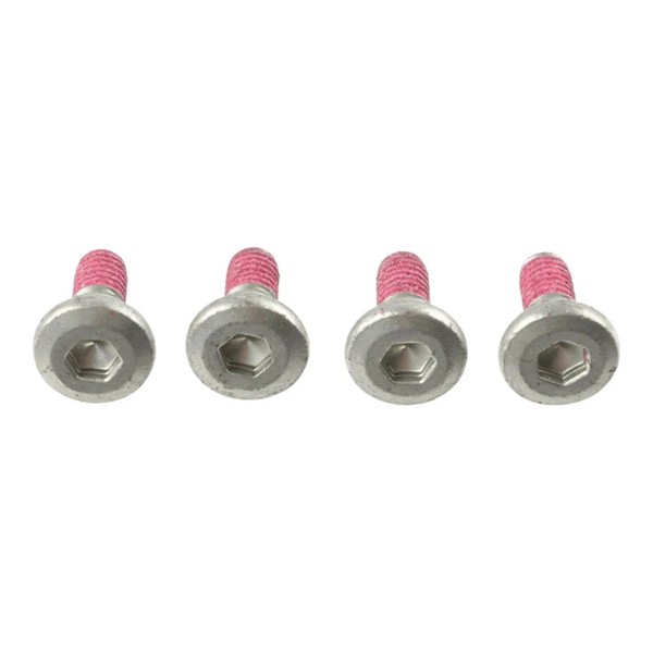 TRW Bremsscheibenschrauben M6X1X17,1 (FüR: Kawasaki KX 65 KX065C 21-22 Hinten )-image