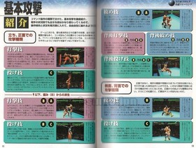ALL JAPAN PRO WRESTLING AJPW SEGA SATURN SS GAME OFFICIAL GUIDE BOOK SOFTBANK