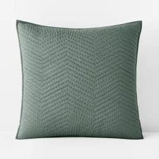 Company Cotton Jade Cotton Voile Euro Sham