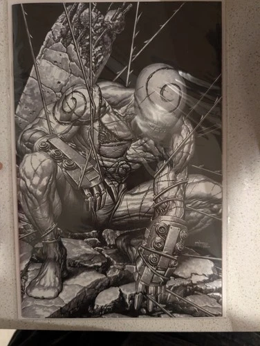 ✨ Amazing Spiderman/Venom Death Spiral #1 B&W LTD 500 Megacon Exclusive ✨