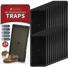 Super Glue Traps 24 Pack for Mice & Snakes, Larger, Heavier Sticky Traps with...