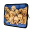 10-1-034-11-6-034-13-3-034-14-034-15-6-034-Tablet-Laptop-Chromebook-Ultrabook-Sleeve-Case-Bag thumbnail 5