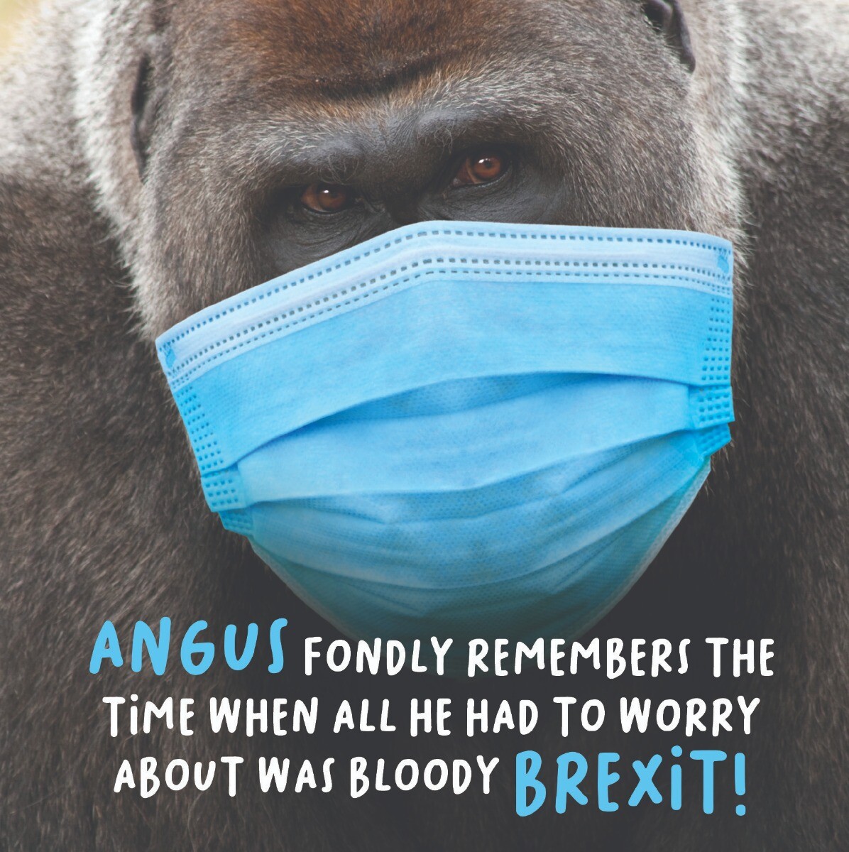 Funny Fondly Remembers Brexit Gorilla Birthday Card – Humorous Greeting Card