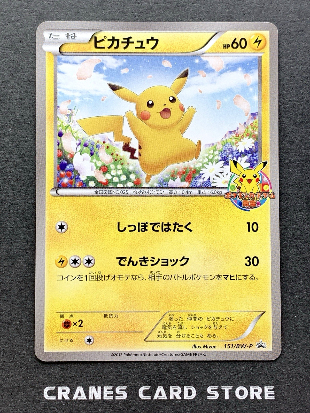 [NM-] Pokemon Card Pikachu 151/BW-P Promo Classroom Prize Event Rare Japanese