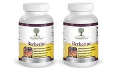 Berberine HCl 500mg - 2 BOTTLES Premium - 120 capsules - 4 Month Supply
