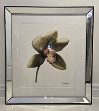 Botanicals Orchid Untitled John Matthew Moore 30/295 Giclee Trowbridge Frame