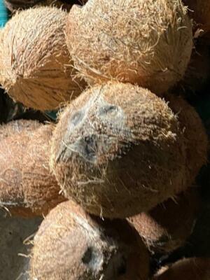Eco-Friendly Coconut Shell Halves 4 Pieces Fruit Bowl Decoration Natural Ceylon 