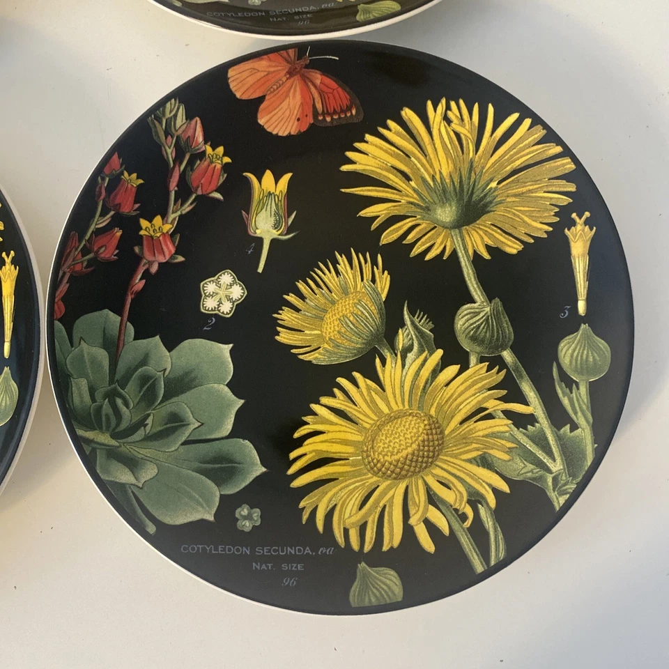 POTTERY BARN Conjunto de 4 Flora Botanica Preto Floral Prato de Salada Flores Amarelo - Imagem 2 de 4