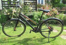 Claud Butler Urban 300 Low Step Ladies Bike