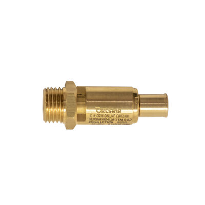 Kompressor Airbrush Werther C1965 Sicherheitsventil 1/4 Zoll 10 bar 900 948