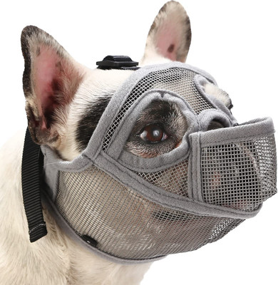 basket muzzle for shih tzu